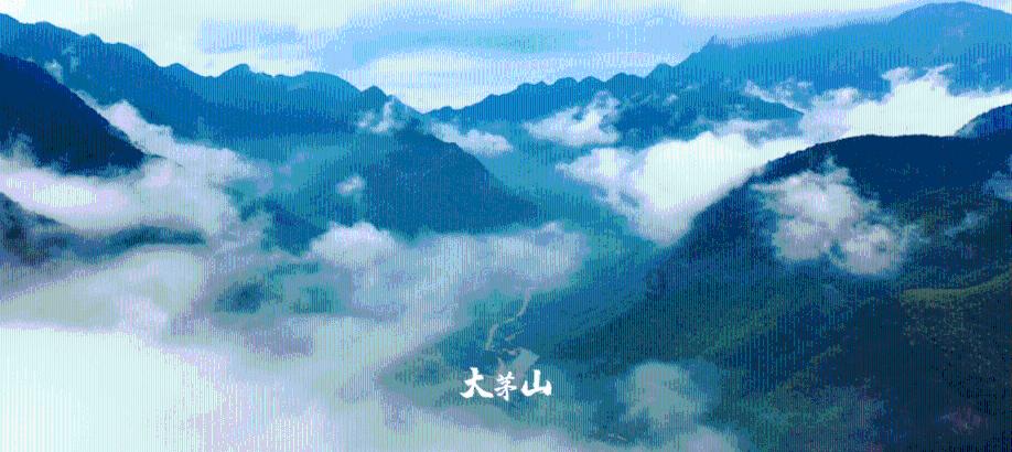 以撒的结合：胎衣