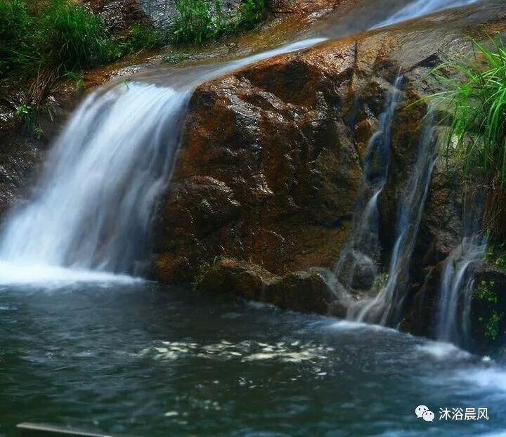 逃出熊蜂森林
