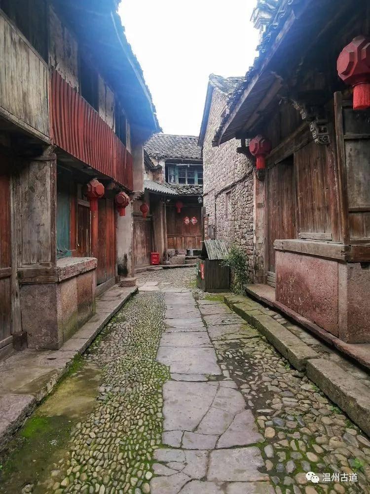 拯救穆尔小马